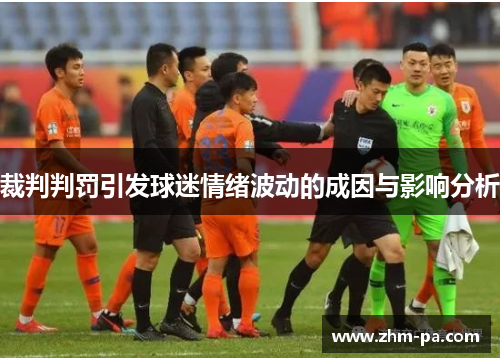 裁判判罚引发球迷情绪波动的成因与影响分析