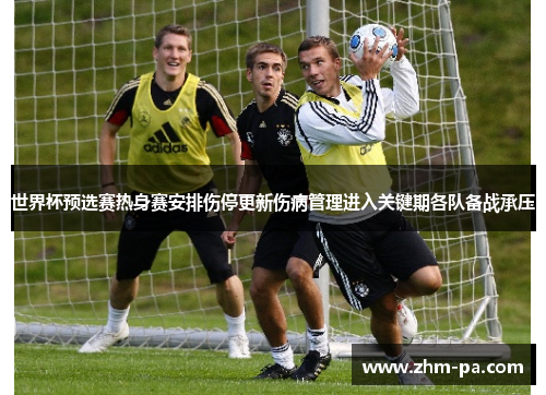 世界杯预选赛热身赛安排伤停更新伤病管理进入关键期各队备战承压